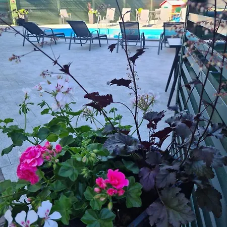 Guest house Medziotoju Kiemelis