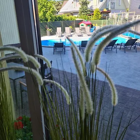 Medziotoju Kiemelis Palanga