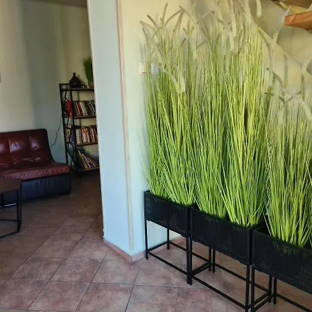 Medziotoju Kiemelis 4* Palanga