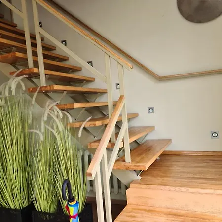 Guest house Medziotoju Kiemelis Palanga