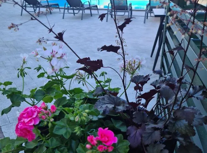 Гостьовий будинок Medziotoju Kiemelis