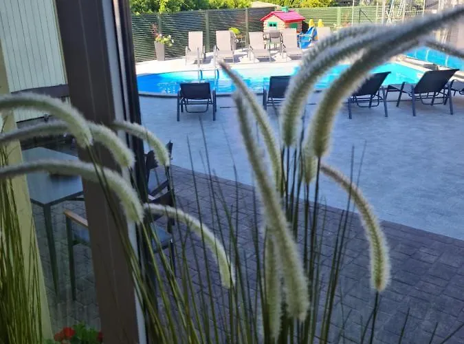 Medziotoju Kiemelis Паланга