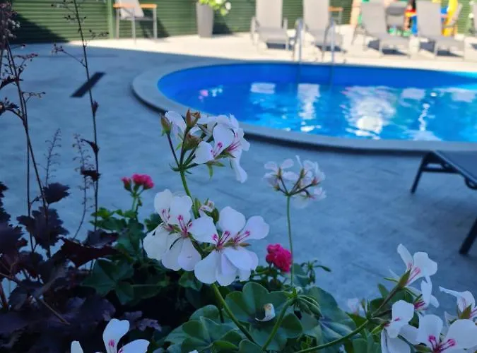 Гостьовий будинок Medziotoju Kiemelis