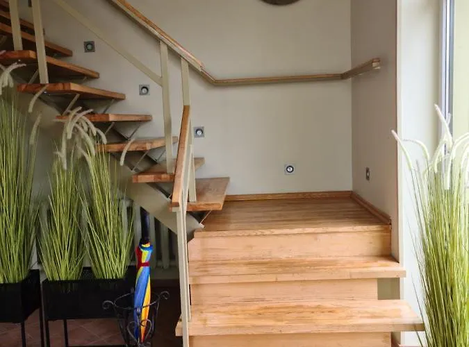 Medziotoju Kiemelis Гостьовий будинок Паланга