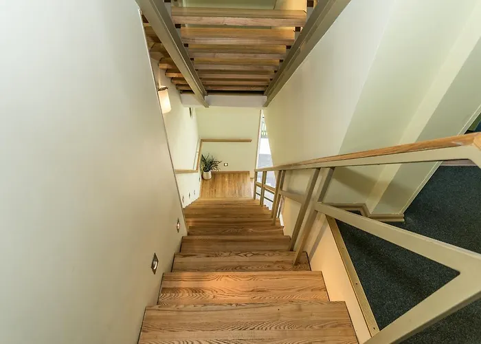 Medziotoju Kiemelis 3* Паланга